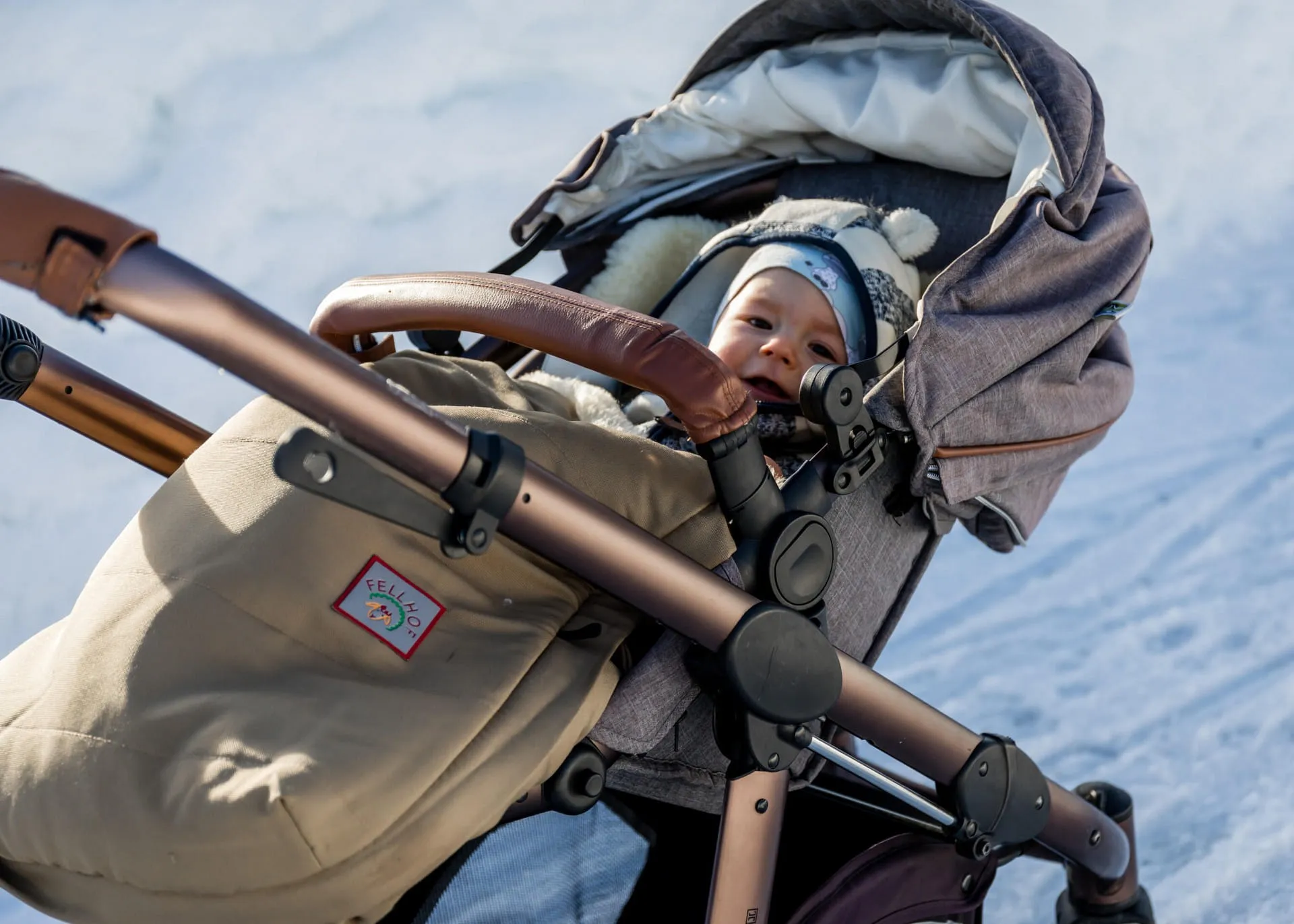 Baby im Kinderwagen auf einem schneebedeckten Weg